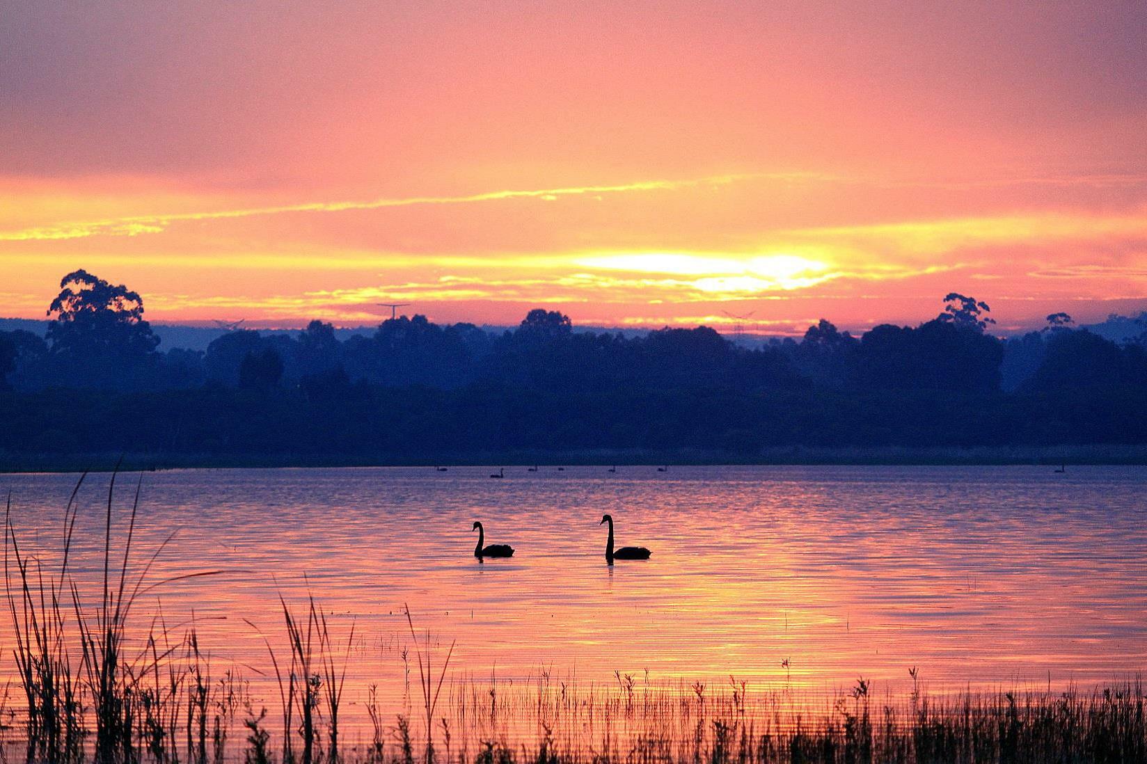 Lake Forrestdale 1